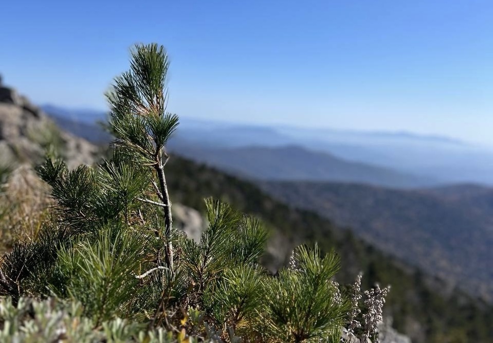 IMAGE 2025-10-09 123232.jpg